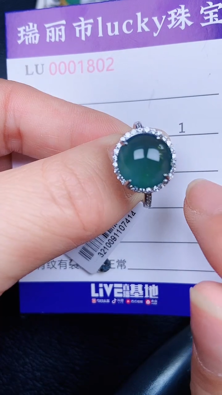 颈饰银S925镶嵌翡翠802