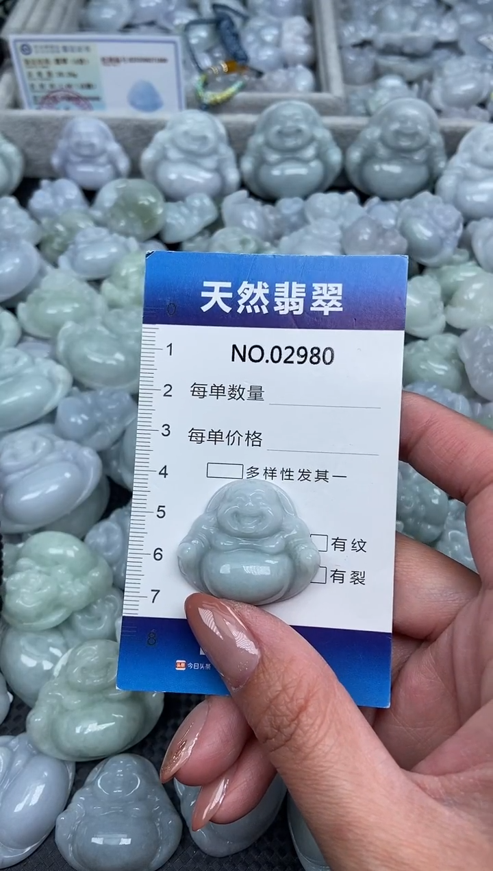 颈饰未镶嵌翡翠纯天然A货翡翠2980