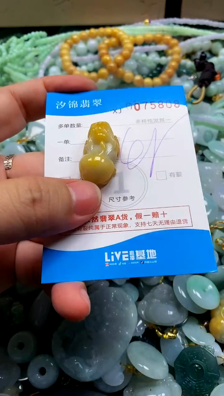 颈饰未镶嵌翡翠闪购商品0075808