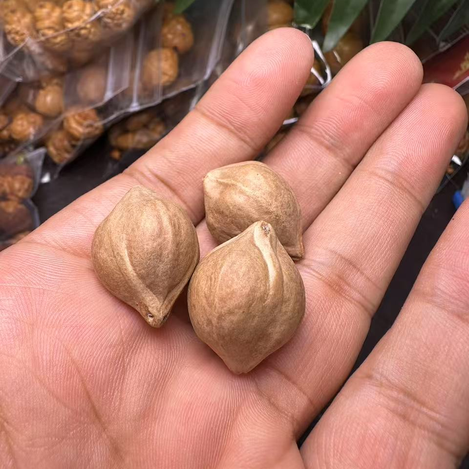 橄榄核补籽换籽一颗单颗20