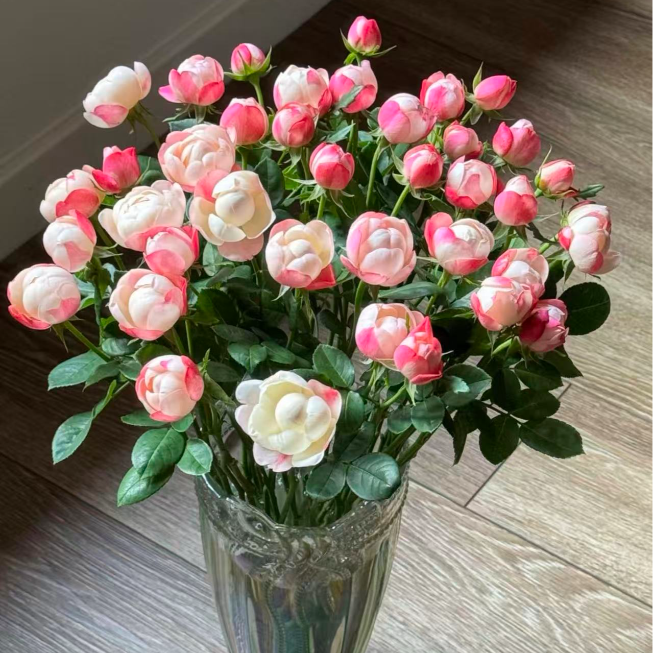 三岁花集-基地多头玫瑰和室（一单顺丰冷链三单空运包邮）