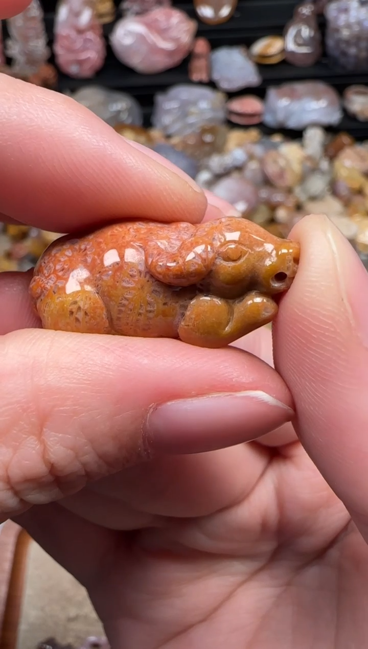 颈饰未镶嵌硅化珊瑚（珊瑚玉）654