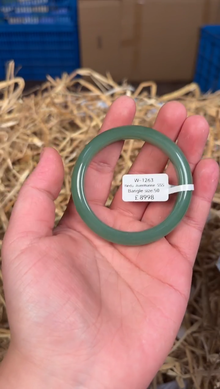 未镶嵌手镯石英质玉W1263