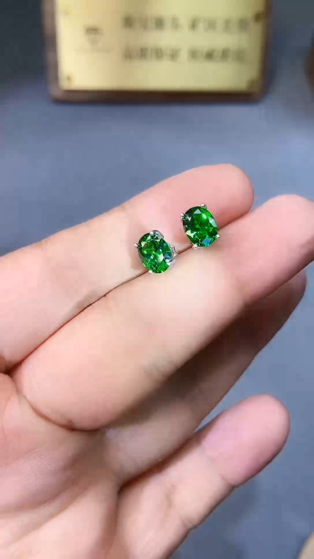 【闪购商品】透辉石耳饰银S925镶嵌354