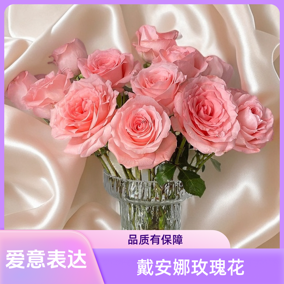 戴安娜玫瑰：拍下10+10防损耗（哈尔滨发货，收到需要醒花）