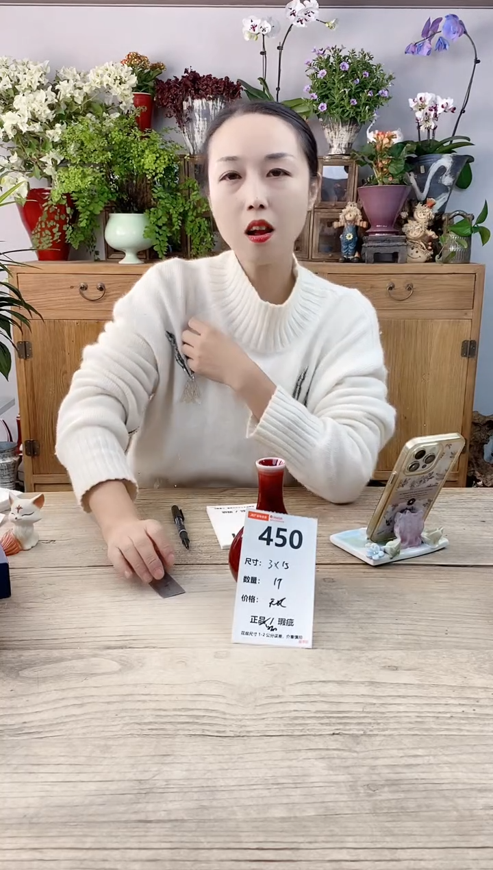 小玩子花盆直播编号450