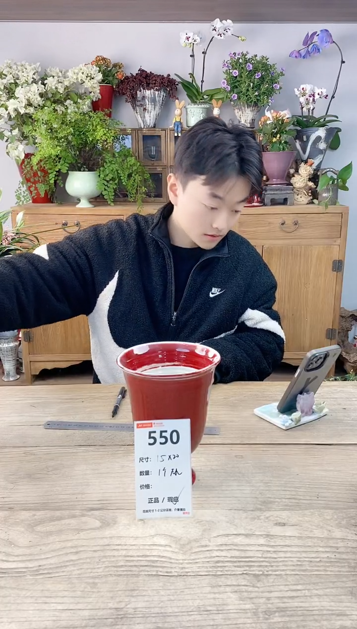 小玩子花盆直播编号550