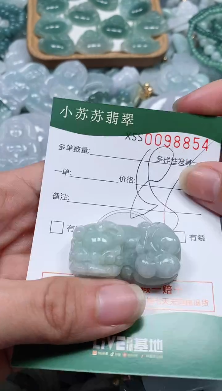 【闪购商品】翡翠颈饰未镶嵌闪购商品0098854