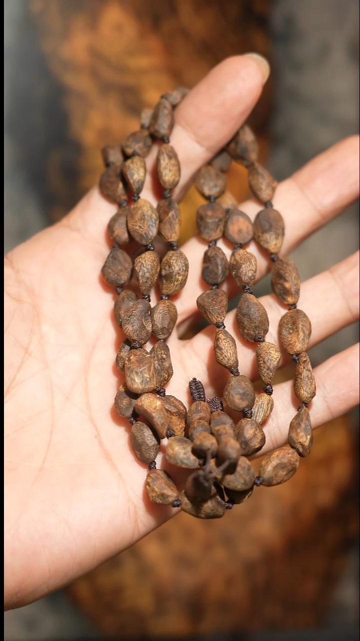 沉香手串海南绿奇楠沉水树丁虫漏随型长串23克