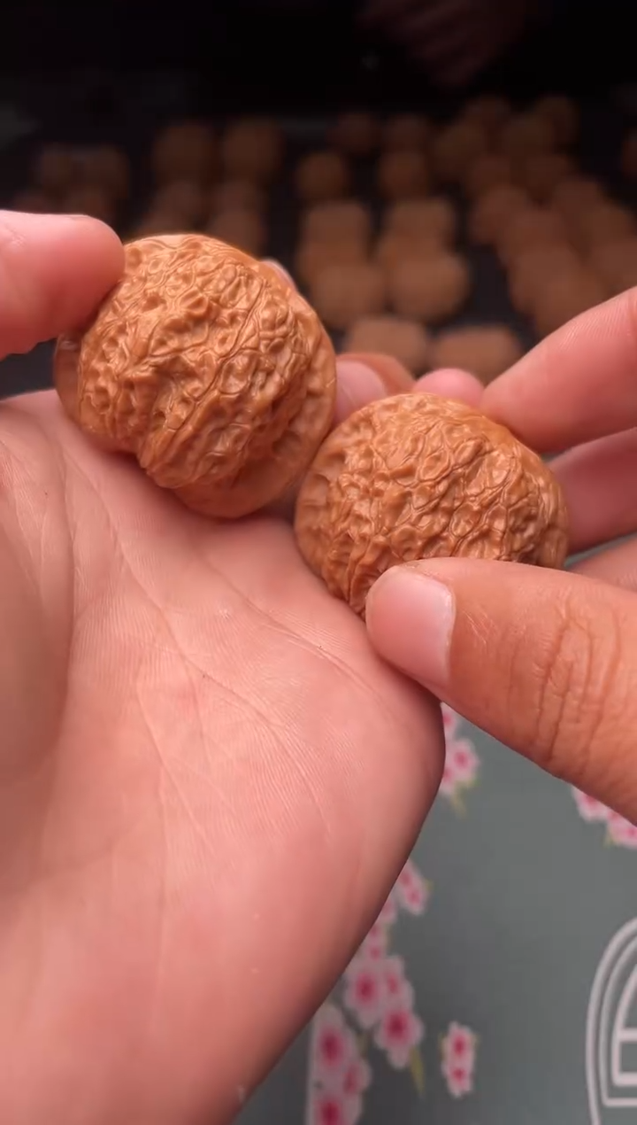 核桃a183    血麒麟 39尺