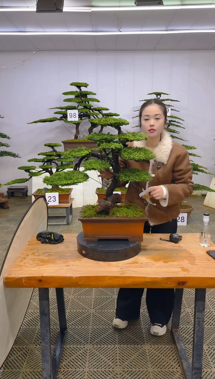 无花朵一物一拍一物一拍