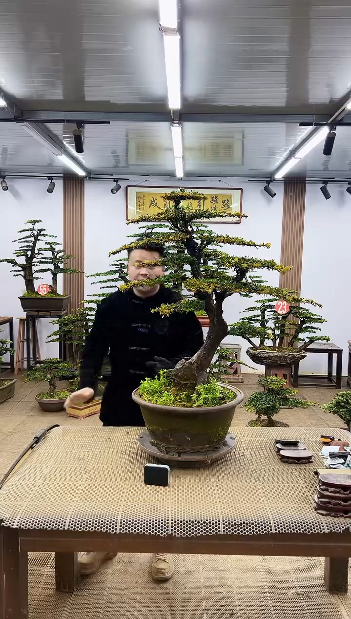 【闪购商品】000000000