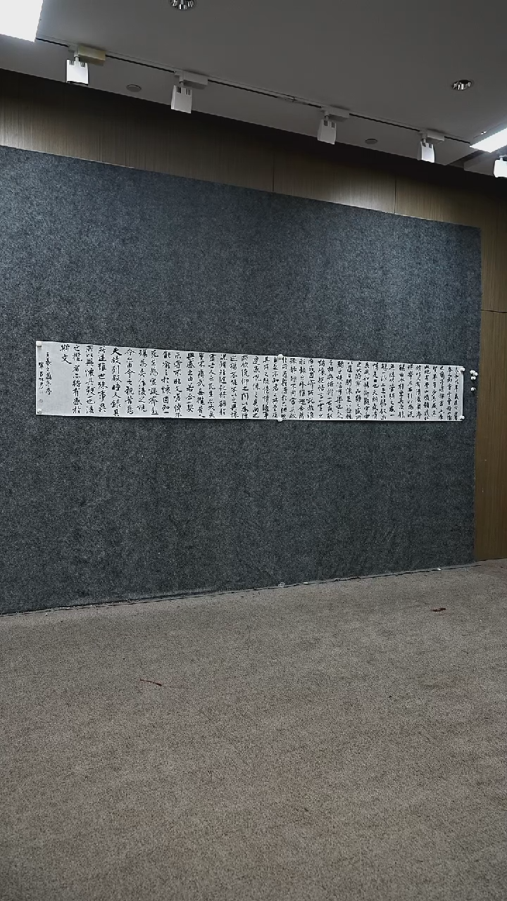 书法书法ZY老师书法作品