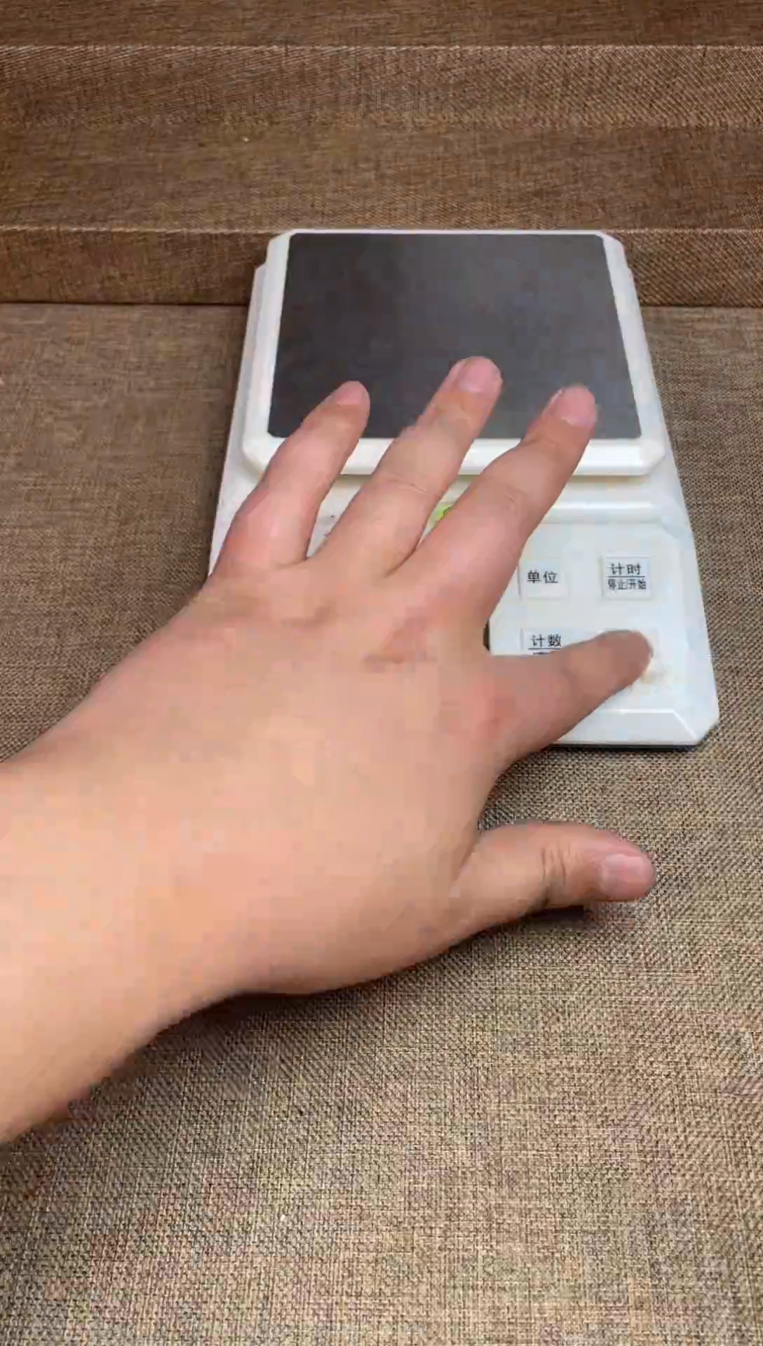 【闪购商品】瓷片瓷器链接多样性发货403