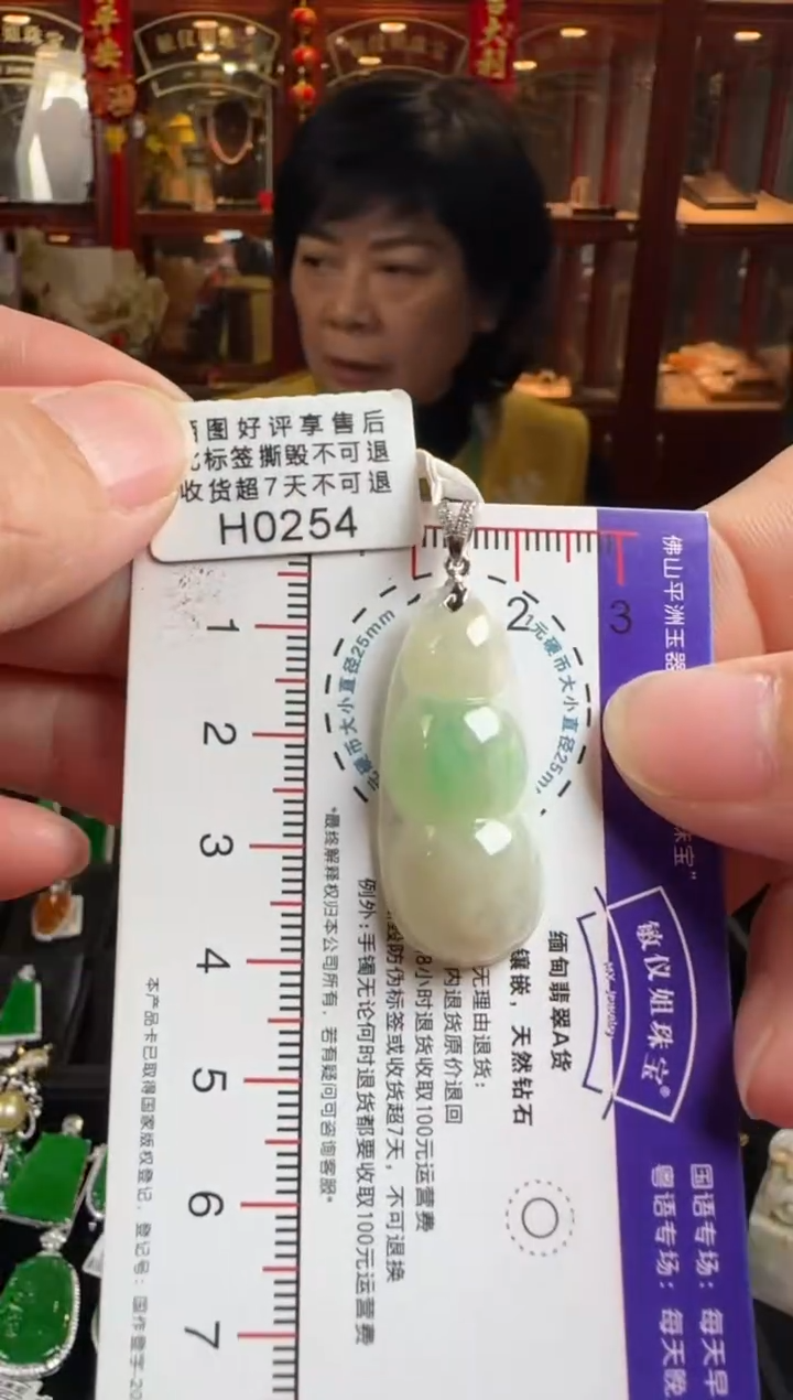 颈饰未镶嵌翡翠H0254富贵豆