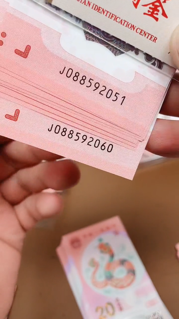 【闪购商品】纸蛇钞088592051标十1111