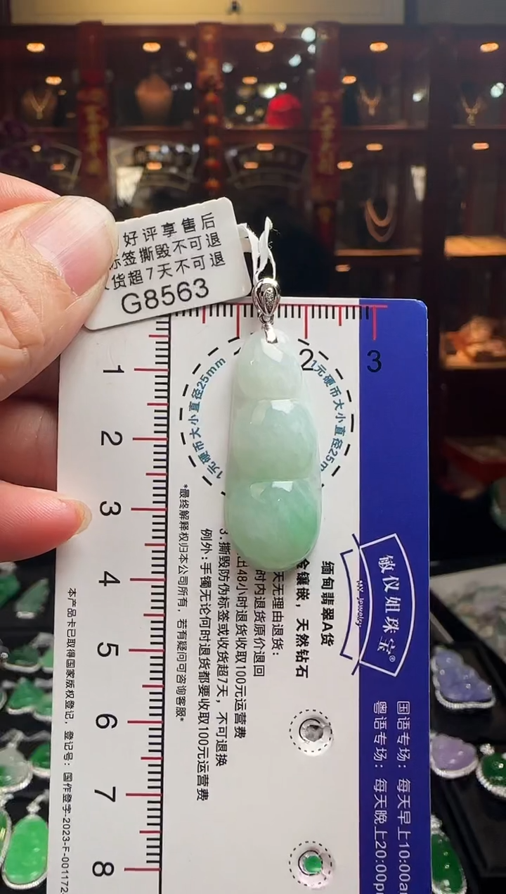 【闪购商品】翡翠颈饰18K金镶嵌G8563冰富贵豆