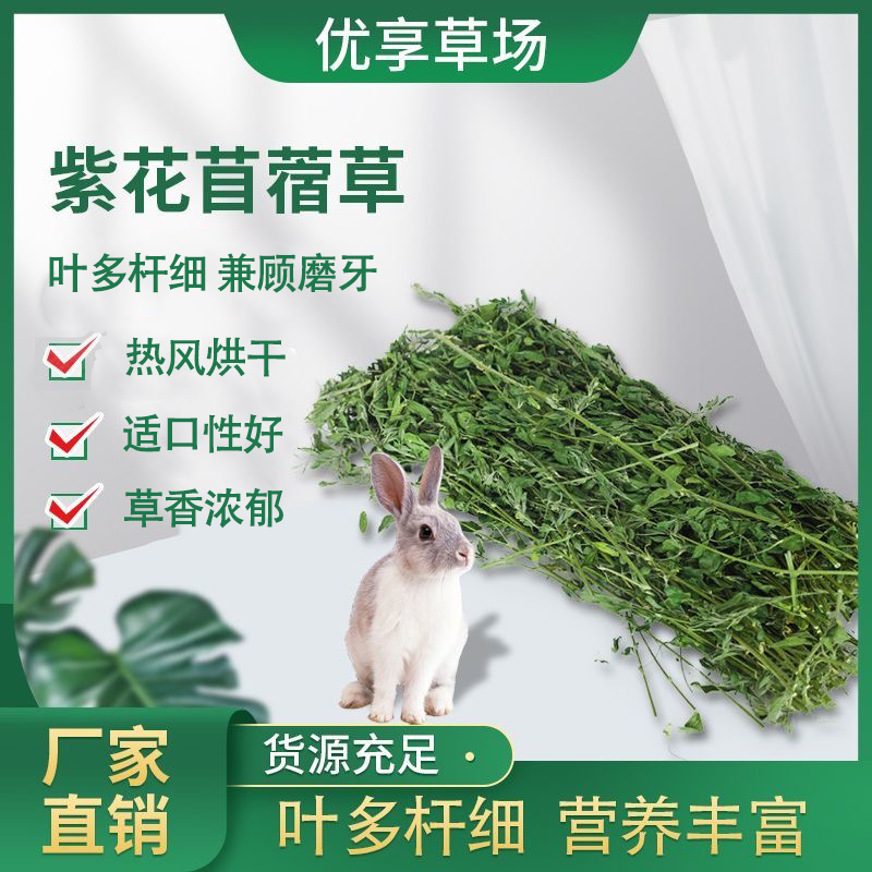 苜蓿草兔粮草大叶烘干宠物兔苜蓿草养殖牧草毛重1kg