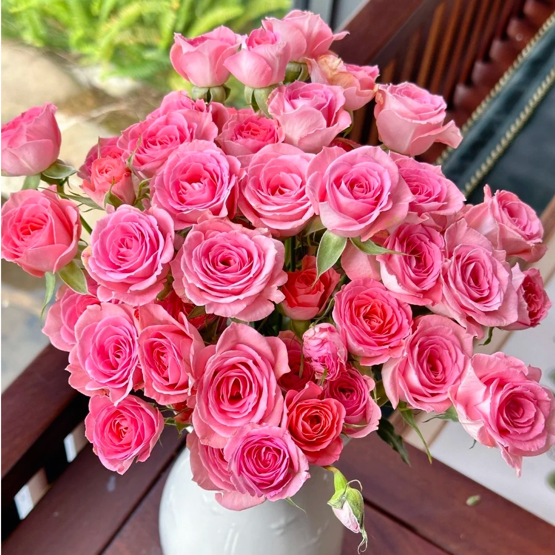 【云南鲜花】多头（高雅爱人）10枝 1单普通快递，2单以上顺丰冷链