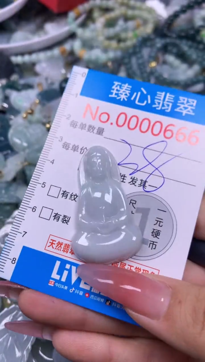 【闪购商品】翡翠颈饰未镶嵌含绳000666