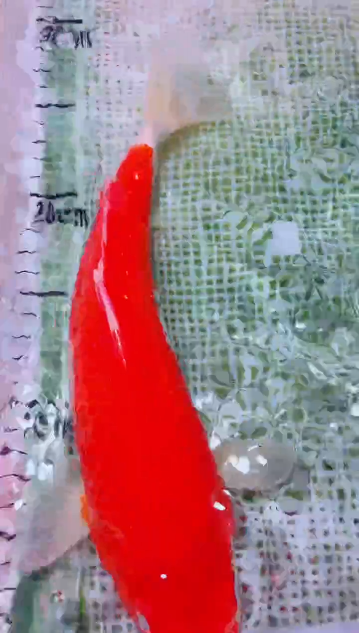 锦鲤血统锦鲤全场包邮119