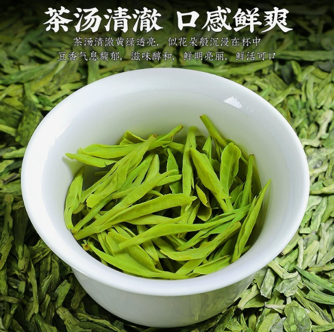 买半斤送半斤】D雀舌龙井绿茶新茶浓香茶叶明前春茶嫩芽