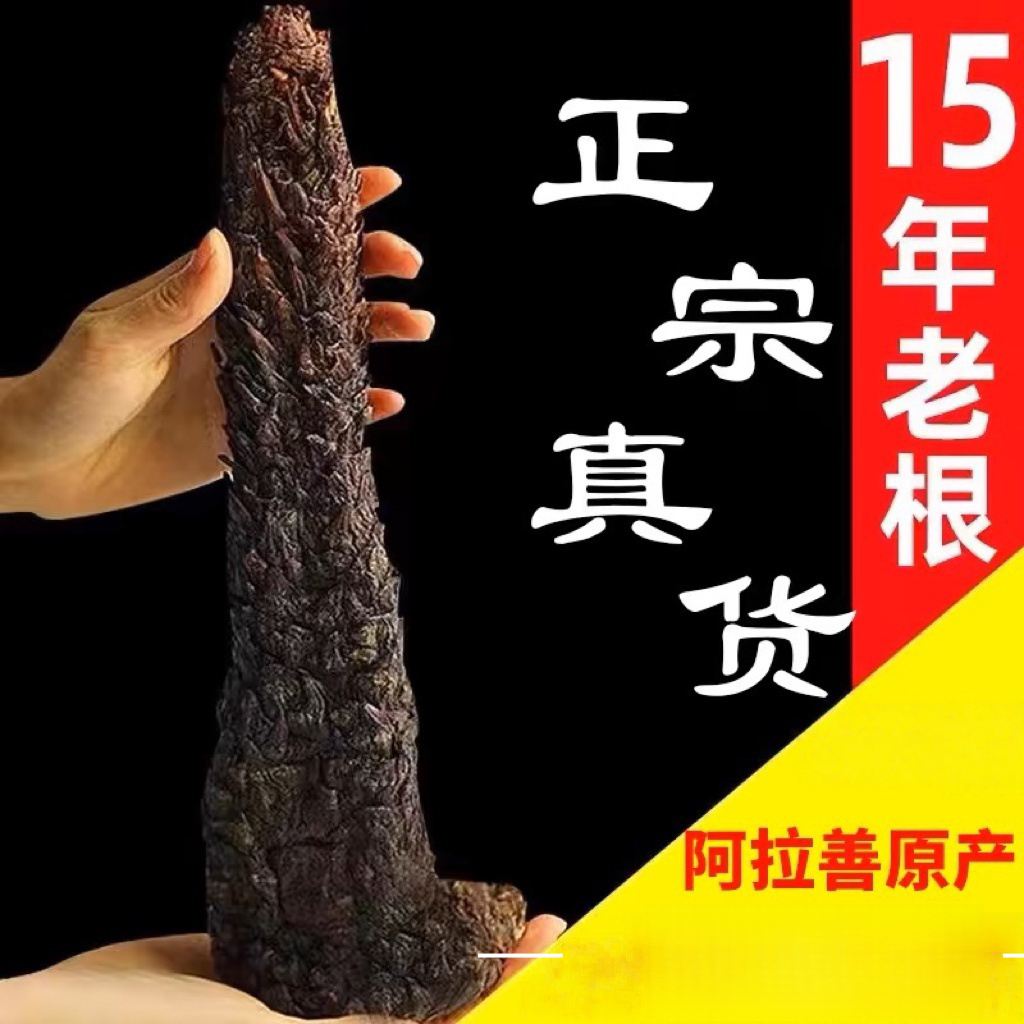 阿拉善~沙漠黑龙参~整根可用于泡酒250g起*非丹参