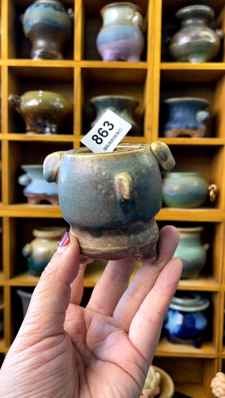 【闪购商品】陶微瑕863 内口4