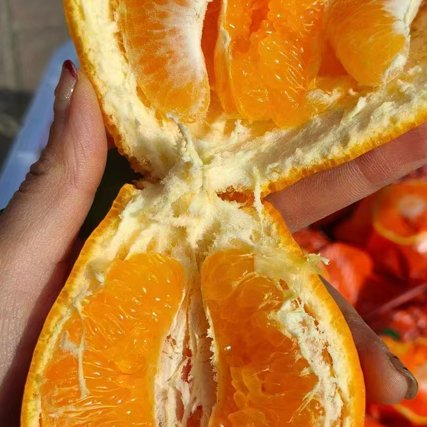 喜美四川耙耙柑一袋4斤左右耙耙柑四川省四川省眉山市