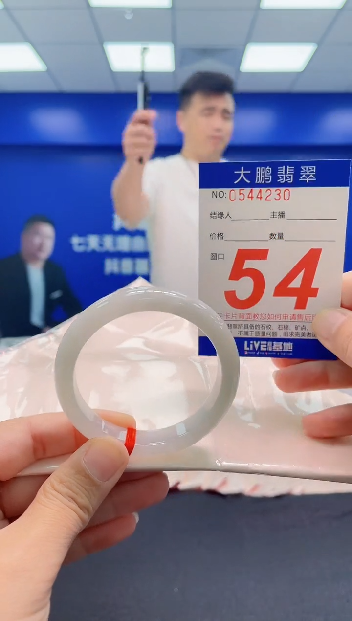 未镶嵌手镯翡翠AAAAAAAAA