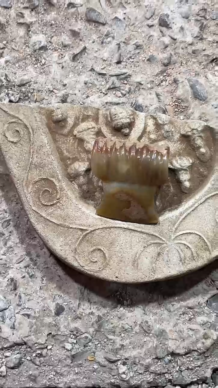 【闪购商品】瓷片手工，手绘，陶器