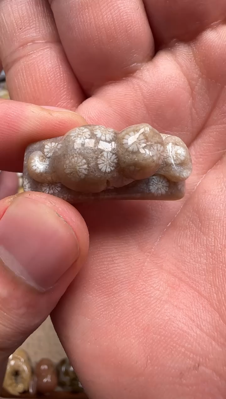 【闪购商品】硅化珊瑚（珊瑚玉）颈饰未镶嵌167