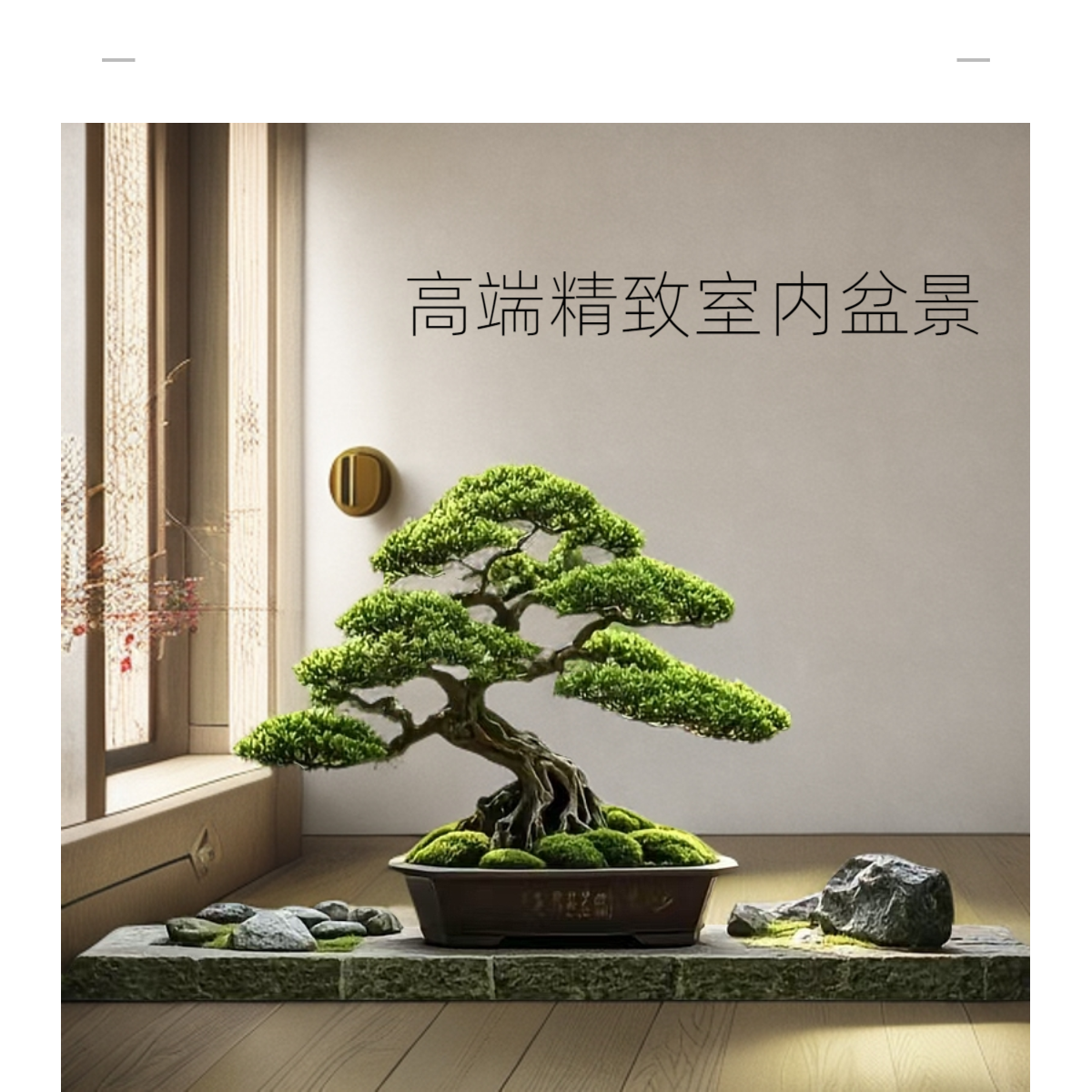 室内桌面盆景客厅绿植盆景罗汉松四季常青庭院栽种老桩