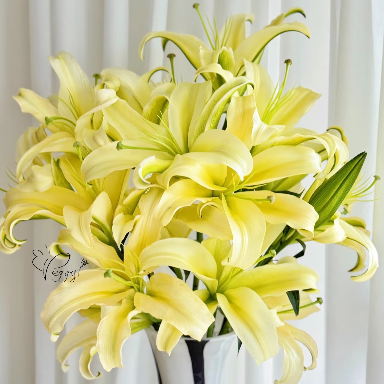 [皇帝] 香水百合 一单包邮 云南百合基地现采现发