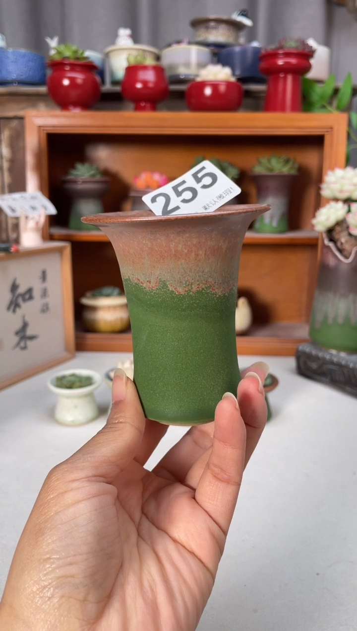 瓷片255知木小芳花盆