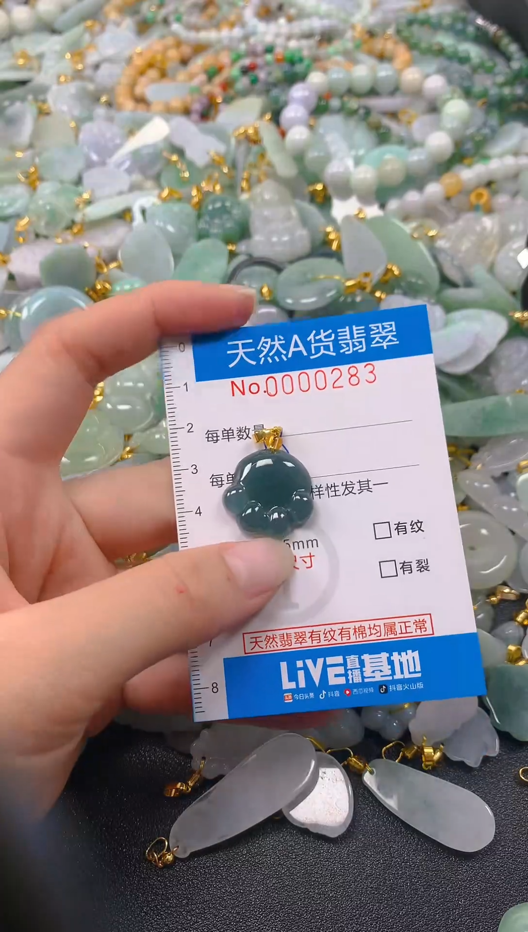 颈饰未镶嵌翡翠净货挂件-0283