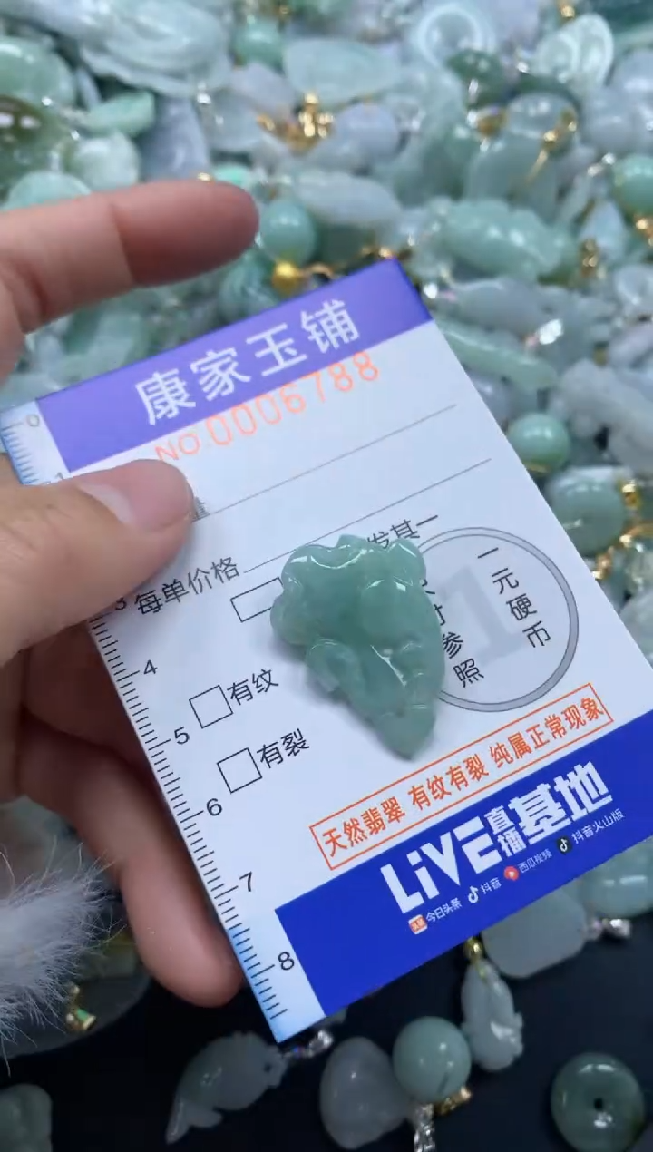 颈饰未镶嵌翡翠6788