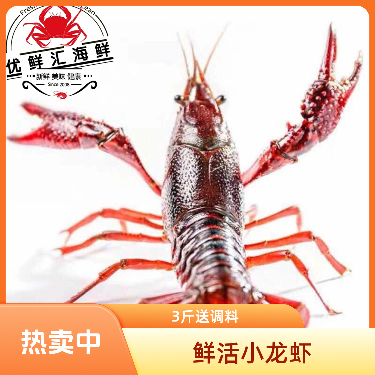 1两左右鲜活小龙虾！3斤送调料