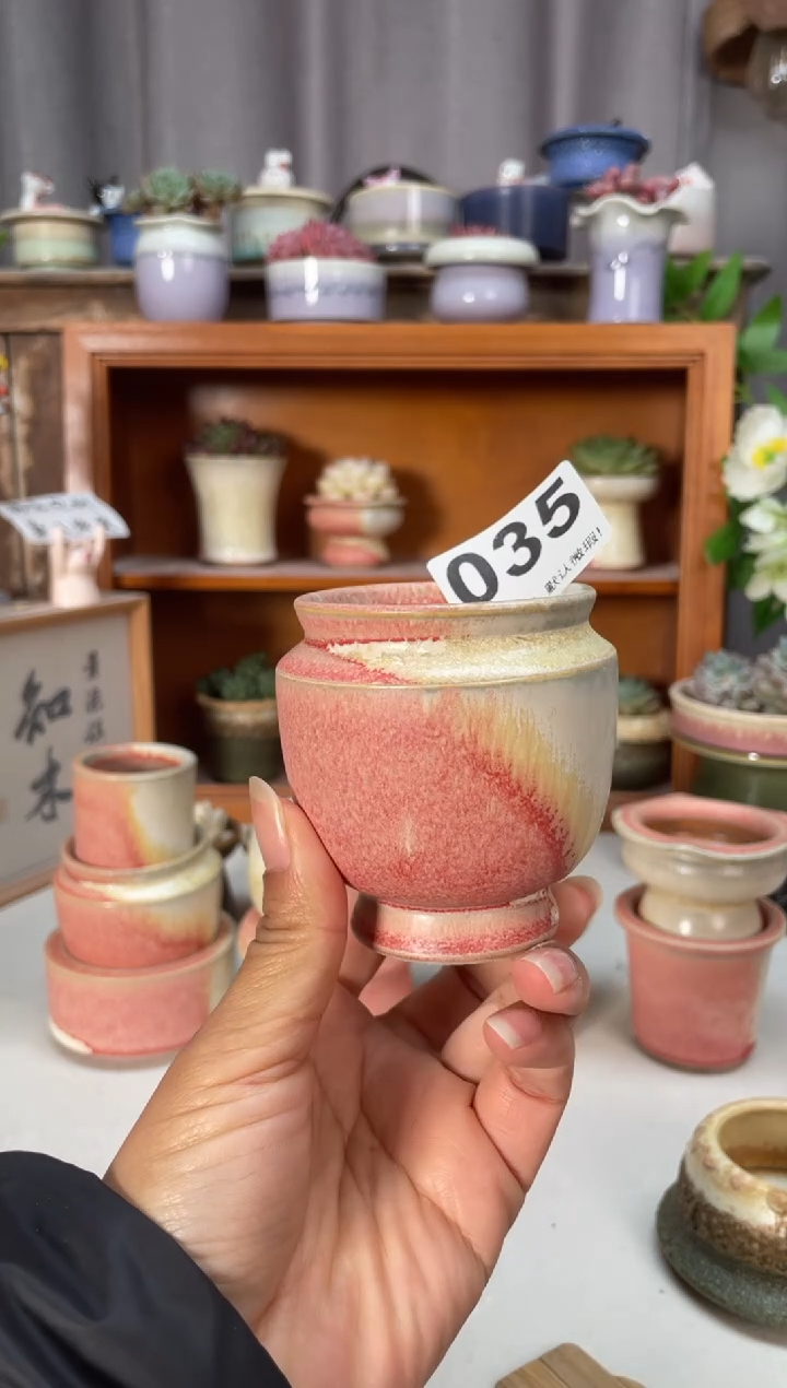 瓷片扬?035小芳直播编号