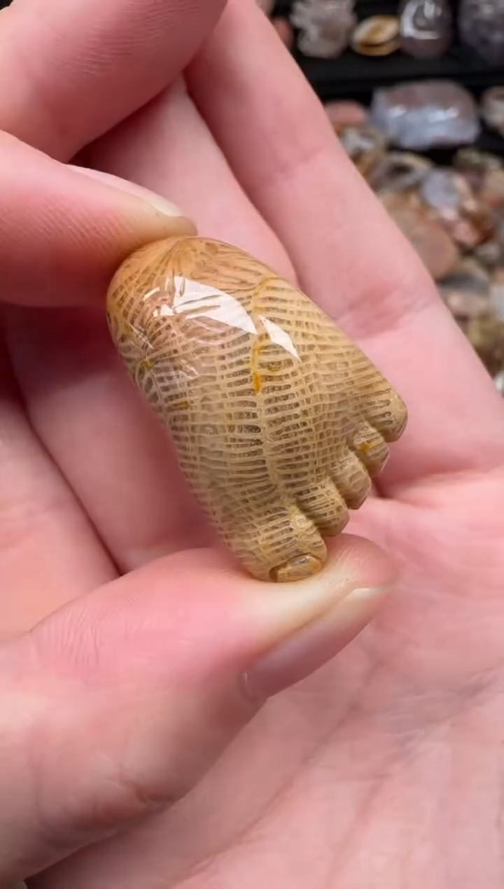 颈饰未镶嵌硅化珊瑚（珊瑚玉）100