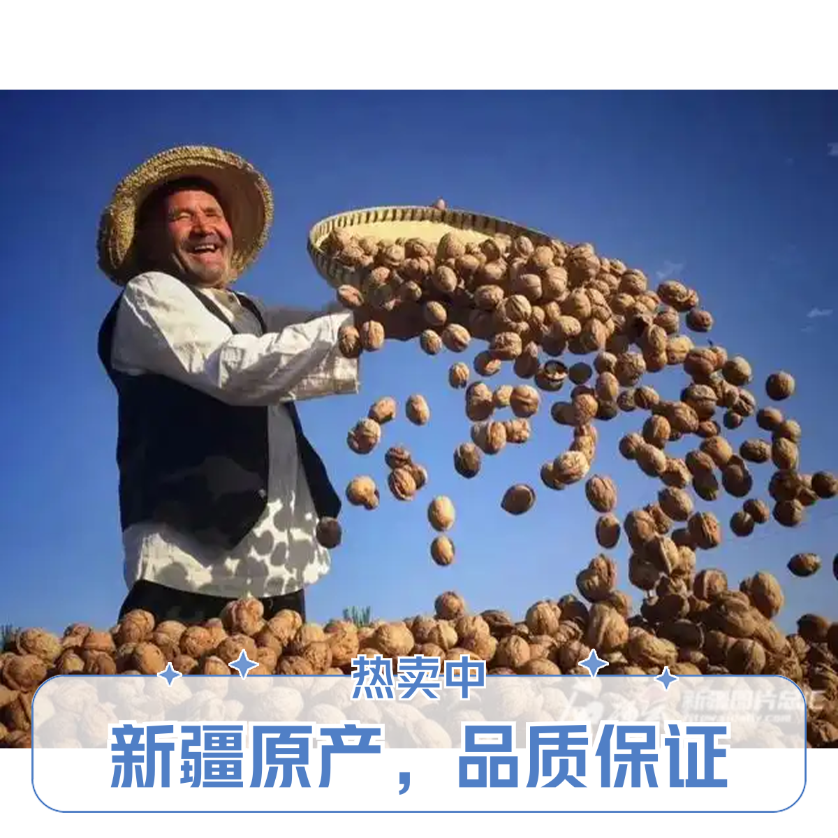 阿克苏  纸皮185核桃