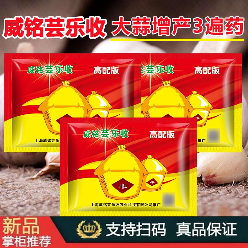 芸乐收大蒜套餐打三遍专用叶面肥