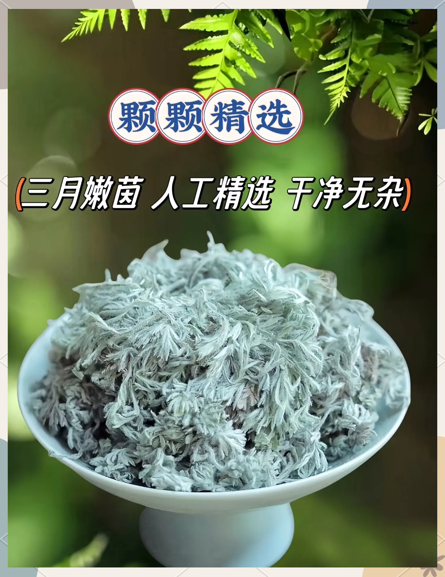 茵陈野菜自然风干，凉晒柴禾火炒干