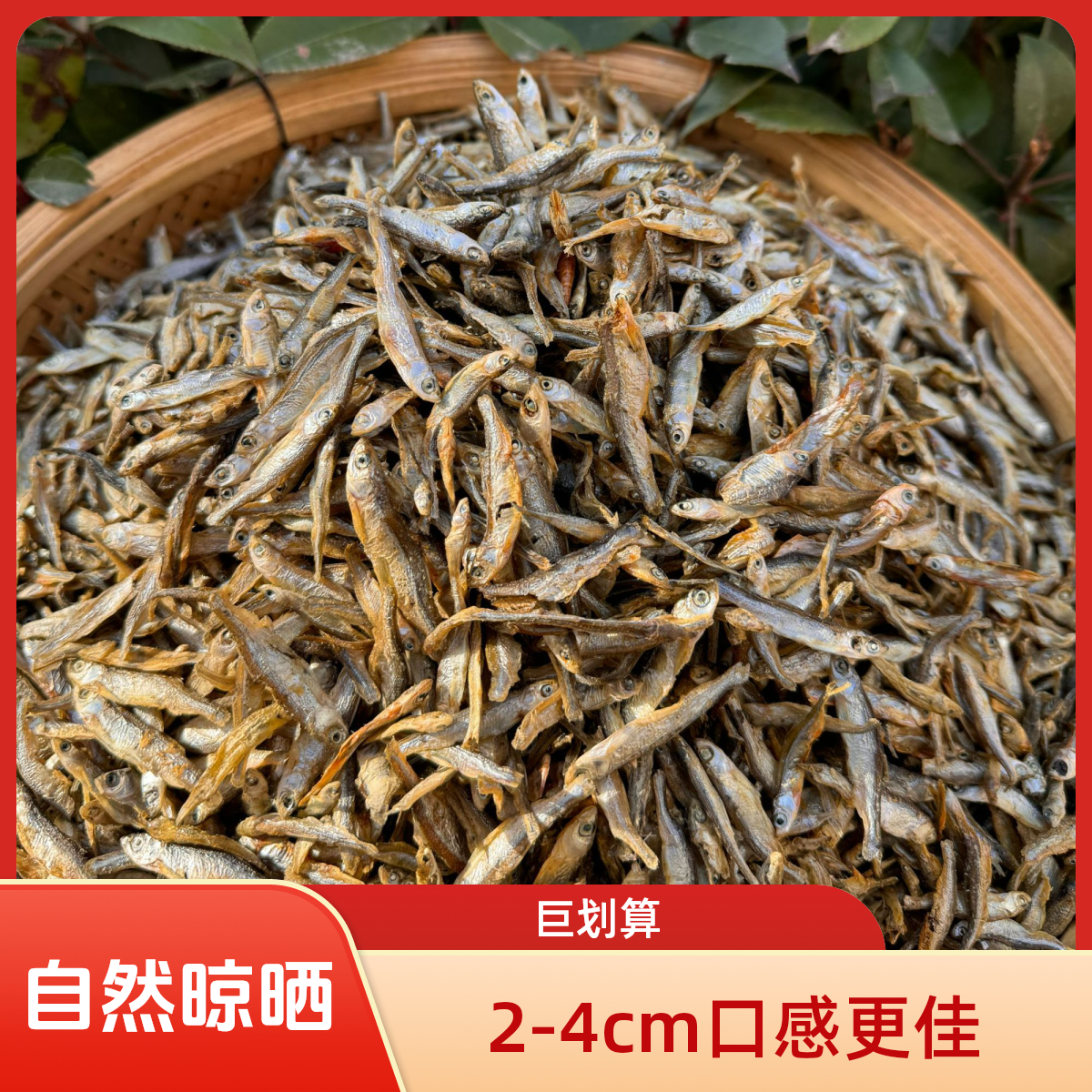 淡水白参鱼麦穗鱼农家小鱼干阳光自晒苏北特产无油鱼干