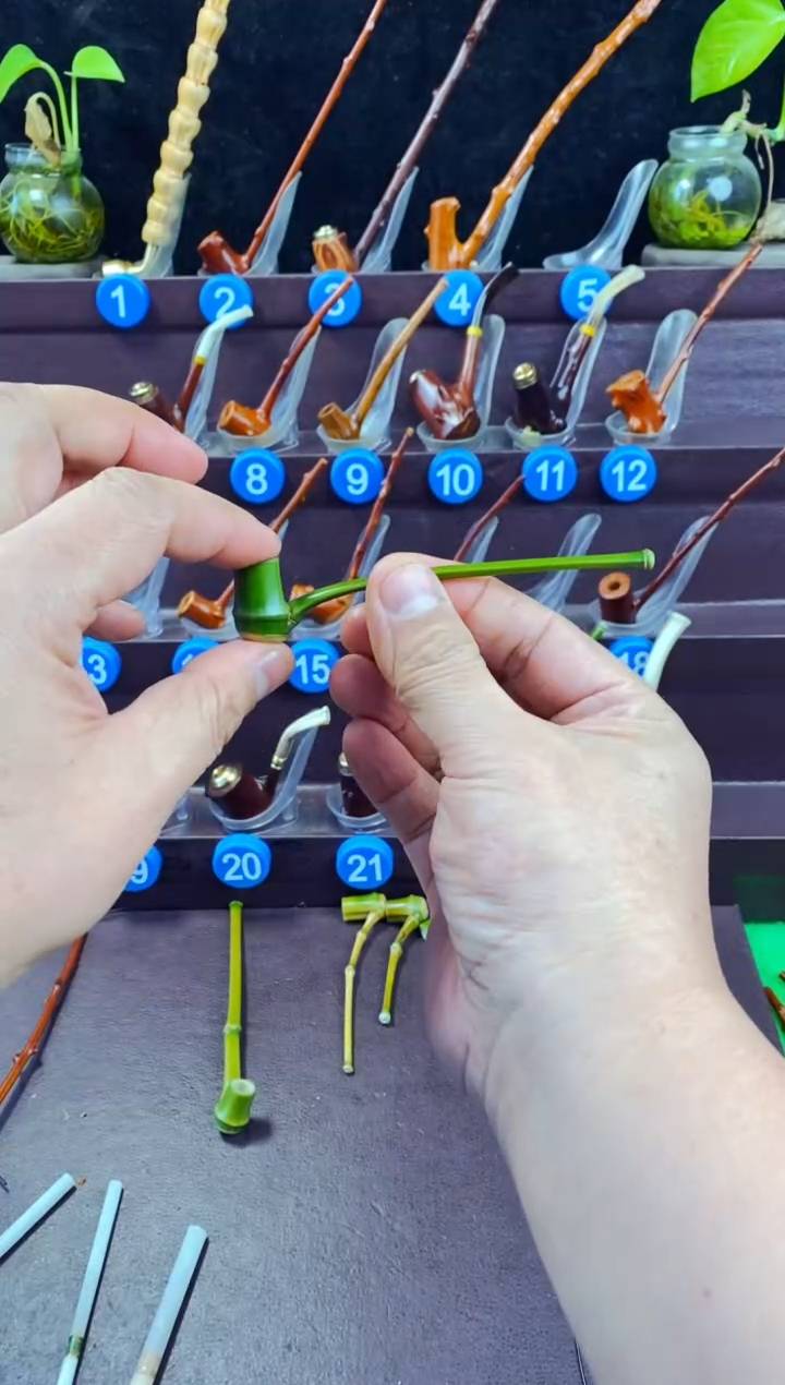 木清****男檬子木的精品小斗