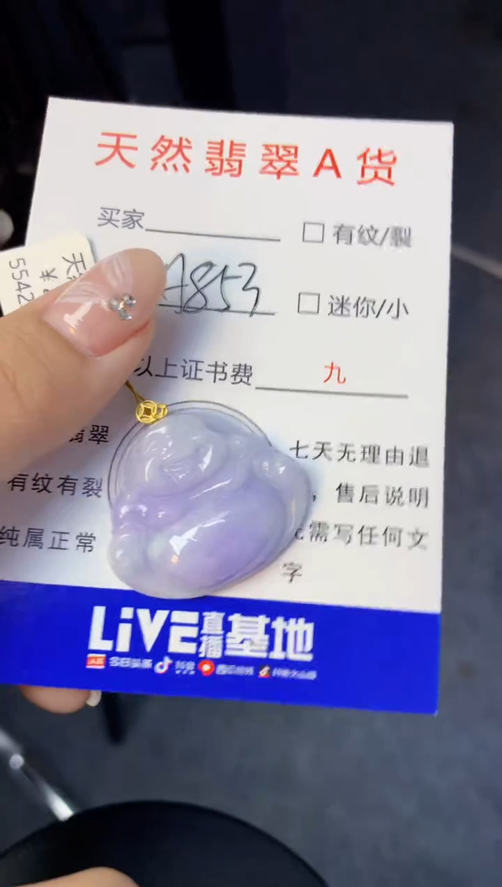 颈饰18K金镶嵌翡翠天然缅甸a货翡翠百元以上9元证书费自理