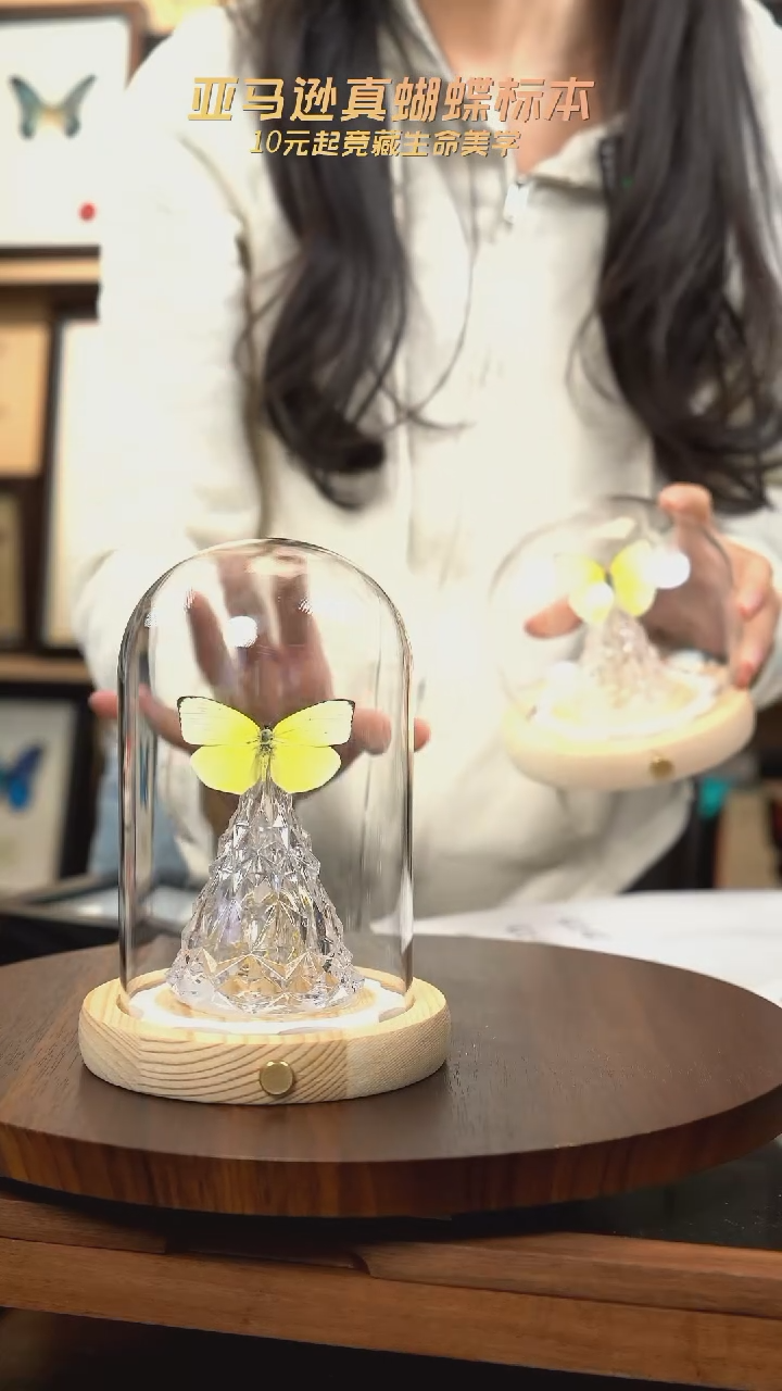 迁粉蝶圣诞灯款 玻璃罩款