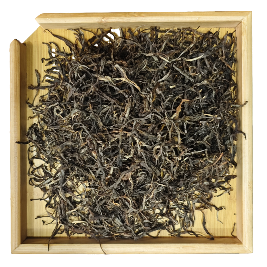 2025年 临沧百花箐散生茶