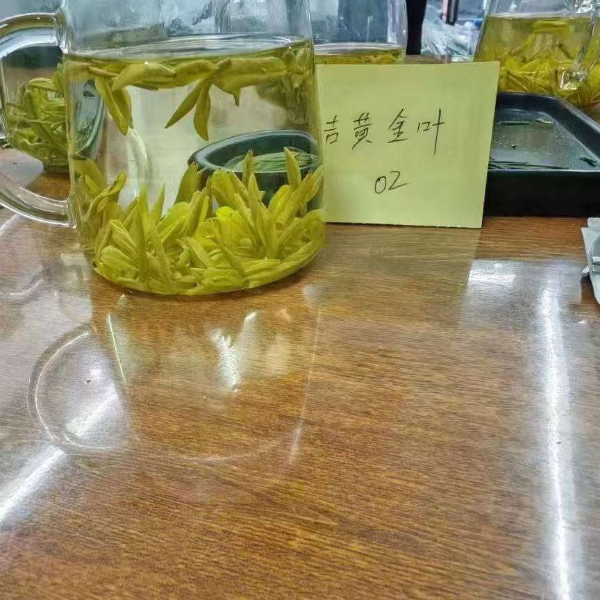 2025黄金芽      