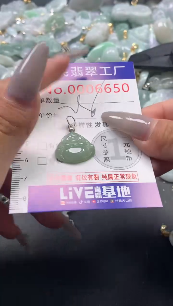 颈饰未镶嵌翡翠6650